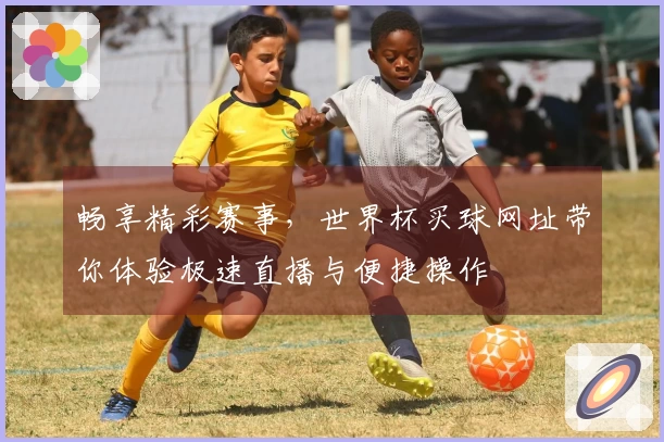 畅享精彩赛事，世界杯买球网址带你体验极速直播与便捷操作