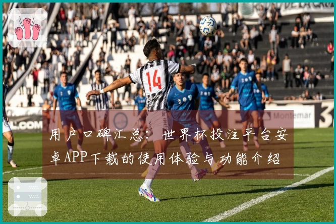 用户口碑汇总：世界杯投注平台安卓APP下载的使用体验与功能介绍