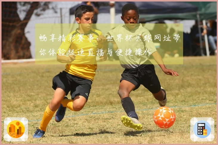 畅享精彩赛事，世界杯买球网址带你体验极速直播与便捷操作