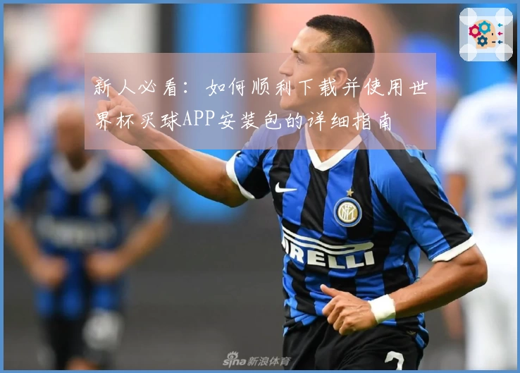 新人必看：如何顺利下载并使用世界杯买球APP安装包的详细指南