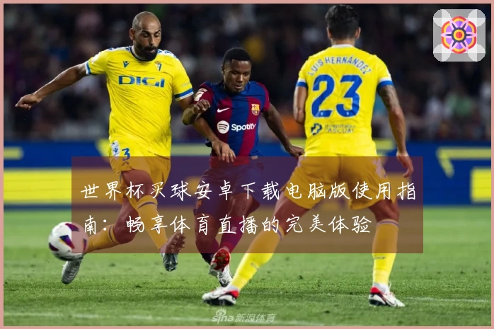 世界杯买球安卓下载电脑版使用指南：畅享体育直播的完美体验